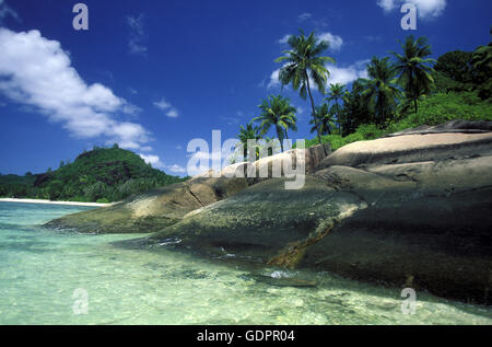 Ein Traumstrand Auf der Insel La Digue Auf Den Seychellen Im Indischen Ozean. Stockfoto