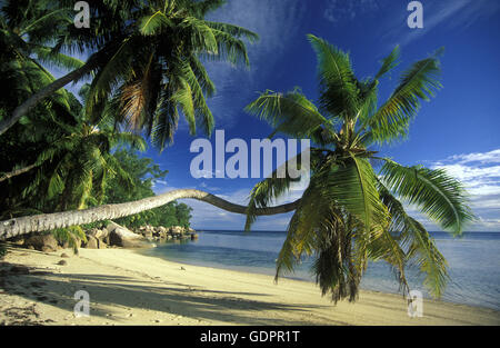 Ein Traumstrand Auf der Insel La Digue Auf Den Seychellen Im Indischen Ozean. Stockfoto