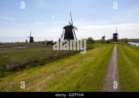 Aus dem Jahre 1740, sind der 19 Windmühlen bei Kinderdjik eine führende Attraktion in den Niederlanden und zum geschützten UNESCO-Weltkulturerbe. Stockfoto