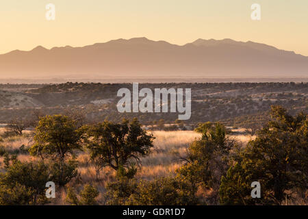 Sunrise Aufleuchten der Sonora-Wüste Grünland Hügel den Huachuca Mountains. Coronado National Forest, Arizona Stockfoto