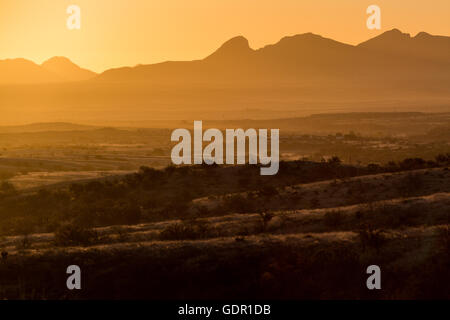 Sunrise Aufleuchten der Sonora-Wüste Grünland Hügel unterhalb der Whetstone Mountains. Coronado National Forest, Arizona Stockfoto