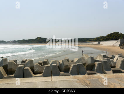 Japanische Surfer im kontaminierten Bereich nach der Daiichi Nuclear Power Plant Bestrahlung, Präfektur Fukushima, Tairatoyoma Strand, Japan Stockfoto