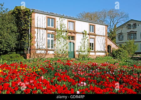 Geographie/Reisen, Deutschland, Baden-Wuerttemberg, Weinheim, Hermannshof, Garten, Wohnhaus, Baujahr: ca. 1820 von dem Ökonomen Lambert von Babo, Additional-Rights - Clearance-Info - Not-Available Stockfoto