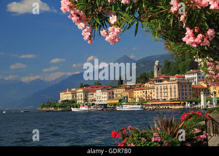 Blick auf die Küstenlinie von Bellagio Dorf am Comer See, Italien Stockfoto