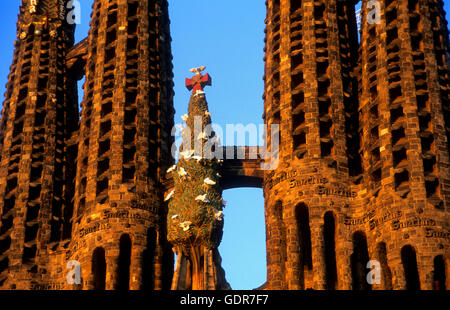 Barcelona: La Sagrada Familia. Detail der Glockentürme die Geburtsfassade Stockfoto