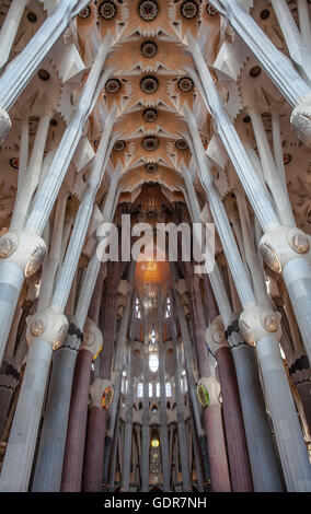 Innenraum der Basilika Sagrada Familia, Kirchenschiff, Barcelona, Katalonien, Spanien Stockfoto