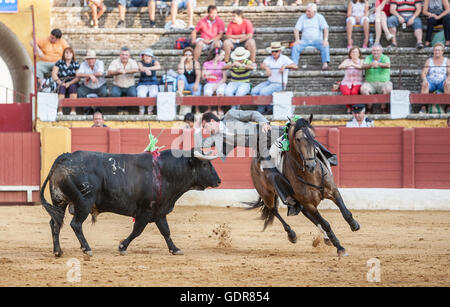 Andujar, Spanien - 12. September 2009: Andy Cartagena, Stierkämpfer zu Pferd Spanisch, Andujar, Jaen, Spanien Stockfoto