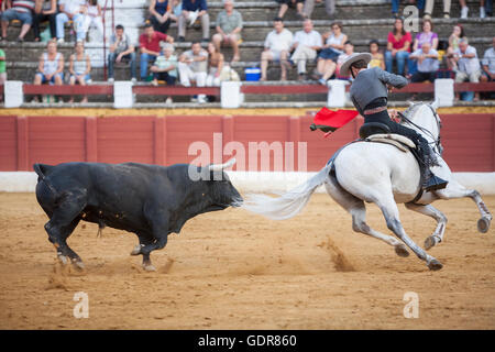 Andujar, Spanien - 12. September 2009: Leonardo Hernandez, Stierkämpfer zu Pferd Spanisch, Andujar, Jaen, Spanien Stockfoto