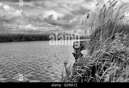 Nieuwkoopse Plassen, Landschaftsfotografie, Niederlande, Europa. Stockfoto