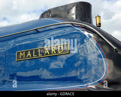 Stockente ein A4 Pacific Klasse Lok, Inhaber der Geschwindigkeits-Weltrekord für eine Dampflok. Stockfoto