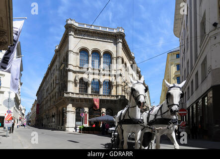 Wien, Wien: Cafe Central Straße Herrengasse Fahrerhaus, Österreich, Wien, 01. Stockfoto