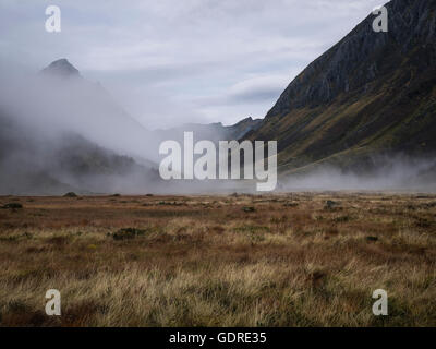 Nebligen Herbst Szene, Mosdalen, Ørsta, Sunnmøre, Norwegen Stockfoto