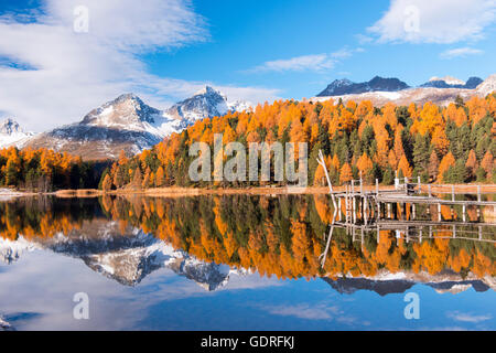 Herbststimmung mit gelben Lärchen, Stazsee bei St. Moritz, Kanton Graubünden, Schweiz Stockfoto