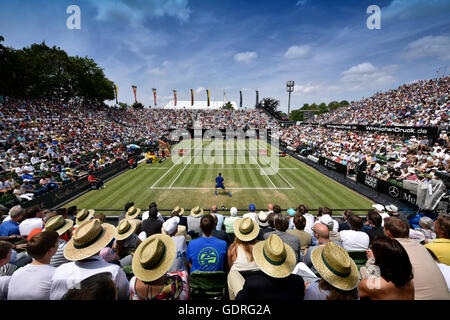 Tennis, Zuschauer auf dem Centrecourt, Roger Federer, SUI, MercedesCup, Stuttgart, Baden-Württemberg, Deutschland Stockfoto