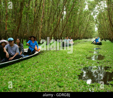 Tra Su indigo Wald, Eco Erholungsgebiet am Mekong-Delta, Reisender im grünen Ökotourismus Stockfoto