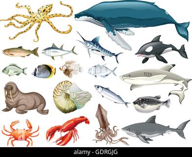 Reihe von verschiedenen Arten von Meer-Tiere-Abbildung Stock Vektor