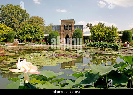 Geographie/Reisen, Deutschland, Baden-Wuerttemberg, Stuttgart, Wilhelma, Seerose, Seerosen, Maurischen Festsaal, Außenansicht, Additional-Rights - Clearance-Info - Not-Available Stockfoto