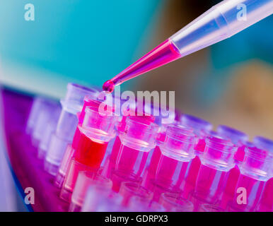 PCR-Streifen Reagenzgläsern und Mikropipette in Genetik Labor Stockfoto