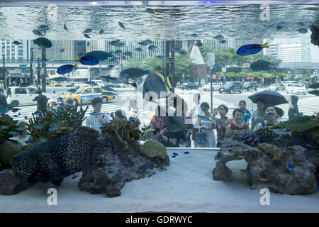 Ginza, Tokio, Japan. 20. Juli 2016. Menschen suchen in zahlreichen tropischen Fischen aus Okinawa schwimmen in einen 14-Tonnen-Panzer zeigt 24 verschiedene Arten, sich außen Sony Building in Ginza. © Alessandro Di Ciommo/ZUMA Draht/Alamy Live-Nachrichten Stockfoto