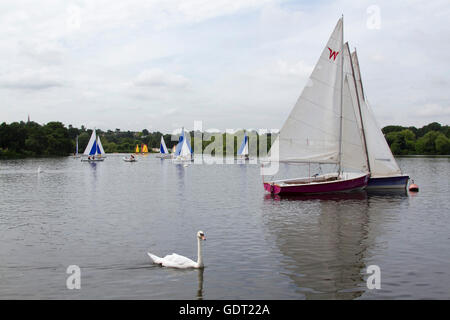 Wimbledon London, 21. Juli 2016. Eine Gruppe von Laser Jollen nehmen Wimbledon Park Lake von der Brise abkühlen, da sinken die Temperaturen leicht Anschluss an mehrere Tage von Hitze und Feuchtigkeit in der Hauptstadt Credit: Amer Ghazzal/Alamy Live-Nachrichten Stockfoto