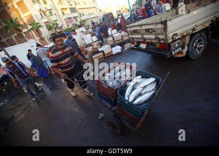 (160722)--ALEXANDRIA (Ägypten), 22. Juli 2016 (Xinhua)--ein Mann transportiert Fisch auf dem Fischmarkt in Halaket El-Samak, Alexandria, Ägypten, 21. Juli 2016 verkauft werden. Dieser Fischmarkt hat eine Geschichte von mehr als 200 Jahren. (Xinhua/Ahmed Gomaa) (Nxl) Stockfoto