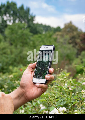 Columbus, Ohio, USA, 21. Juli 2016: Nahaufnahme der Hände Pokemon spielen Gehen Sie auf Handy-Bildschirm im Park of Roses. Pokemon Go ist ein standortbasiertes Augmented Reality-Mobilspiel, das von Niantic Labs unter Verwendung der beliebten Nintendo-Videospiel-Action-Figuren entwickelt wurde. Kredit: 2016 Marianne A. Campolongo/Alamy Live Nachrichten. Stockfoto