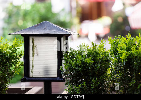 Foto der Straße Laterne close up auf einem Sommer-Café-Terrasse mit grüne Sträucher Stockfoto