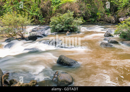 Bewegungsunschärfe von Schlamm-Fluss im verregneten Wald bewegt durch die Felsen mit grüner Baum und Busch umgeben. Es kam von bi Stockfoto