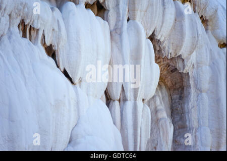 Fosso Bianco in der Nähe von San Filippo, weiß verkalkt Wasserfall im Wald mit türkisfarbenem Thermalwasser Stockfoto