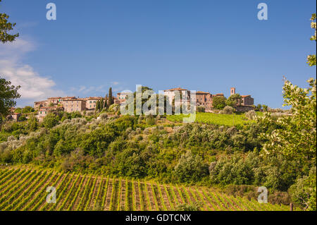 Castelnuovo dell'Abate, Gemeinde von Montalcino, Toskana Stockfoto