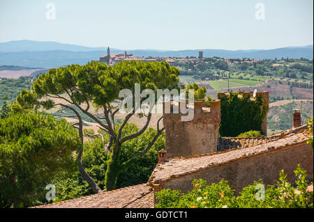 Blick über Monticchiello, Blick auf Montalcino, Italien, Toskana Stockfoto