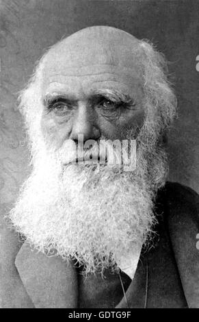 Englische Naturforscher CHARLES DARWIN (1809-1882) über 1878 Stockfoto