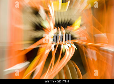 Daten-Netzwerk-Patch-panel Stockfoto