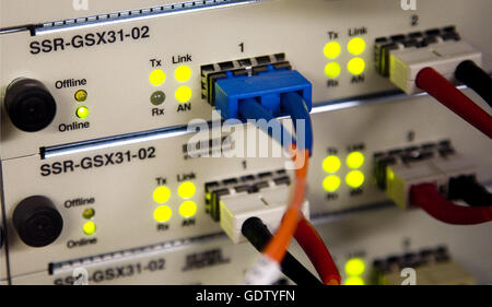 Daten-Netzwerk-Patch-panel Stockfoto