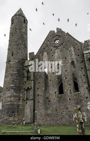 Der Rock of Cashel - Republik Irland Stockfoto