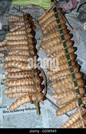 Das Bild der Naga essen Würmer in Kohima Markt, Nagaland, Indien Stockfoto
