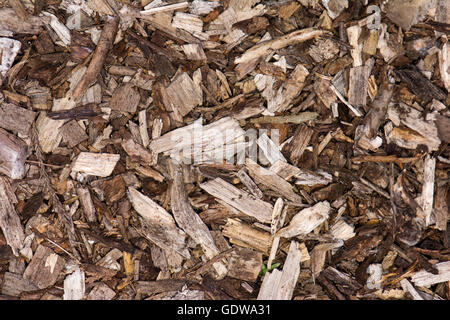 Hackschnitzel-Hintergrund. Garten Mulch bestehend aus mulched Holz und Rinde verwendet, um Unkrautwuchs zu unterdrücken Stockfoto