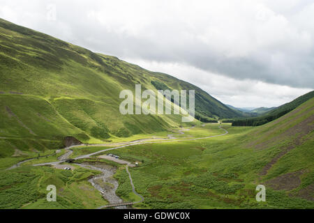 Grey Mare Tail Nature Reserve umliegenden Hügel, Grenzen - Schottland Stockfoto