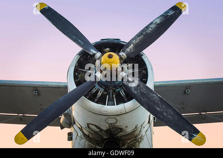 Alten einmotorige Propellerflugzeug in Staub Stockfoto