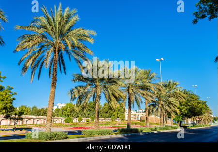 Straße in Al Ain - Emirat Abu Dhabi Stockfoto