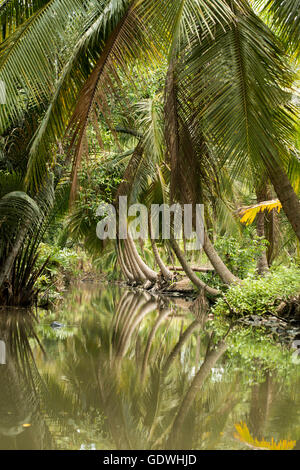 die Landschaft und Flüsse Allround Stadt Tha Kha in westlich von der Stadt von Bangkok in Thailand in der Provinz Samut Songkhram Stockfoto