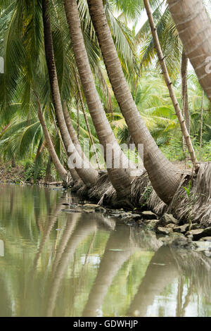 die Landschaft und Flüsse Allround Stadt Tha Kha in westlich von der Stadt von Bangkok in Thailand in der Provinz Samut Songkhram Stockfoto