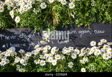 Förderung der Arbeit Kommentare auf schiefer geschrieben und von Daises an der RHS Royal Horticulutral Gesellschaft 2016 Flower Show in Tatton Park umgeben, Knutsford, Großbritannien Stockfoto