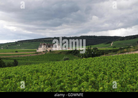 Clos de Vougeot, Burgund Frankreich Stockfoto