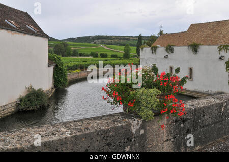 Dorf und die Weinberge von Vosne-Romanée, Burgund, Frankreich Stockfoto