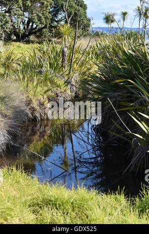 Coastal Märsche in Neuseeland Stockfoto