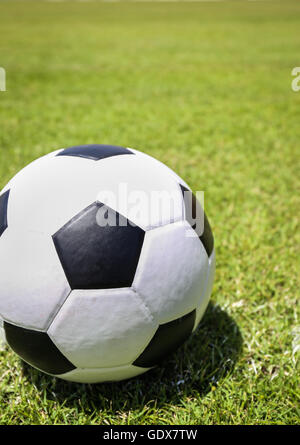 Fußball auf dem grünen Rasen Stockfoto
