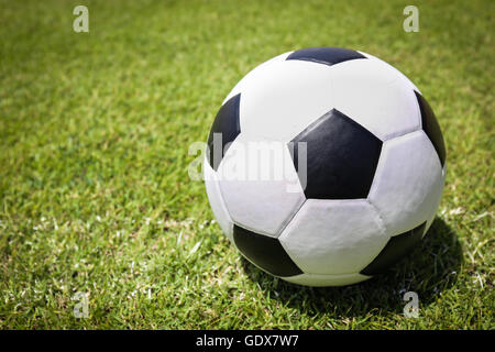 Fußball auf dem grünen Rasen Stockfoto