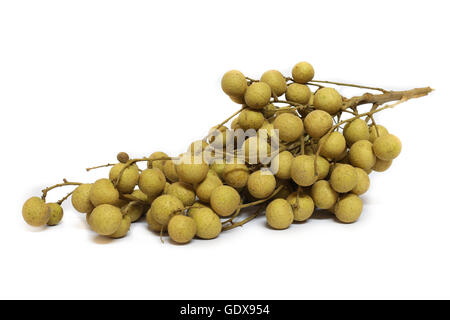 Longan. frische Longan auf weißem Hintergrund Stockfoto