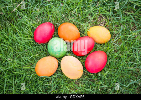 Bunte Ostereier mit Daisy auf frischen grünen Rasen Stockfoto